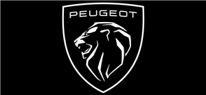 لوگوی 207 استور